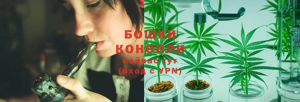 стаф Белокуриха