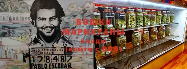 стаф Белокуриха