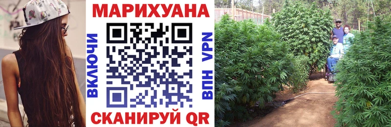 цены наркотик  Данилов  Шишки марихуана OG Kush 